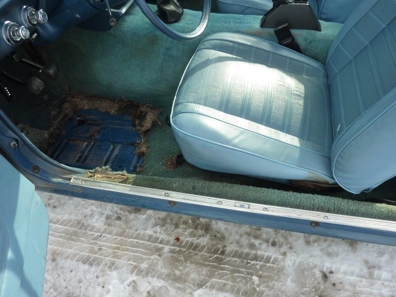 Illustration for article titled eBay Find of The Day: 2 Door, RWD, Manual, Wagon ed.